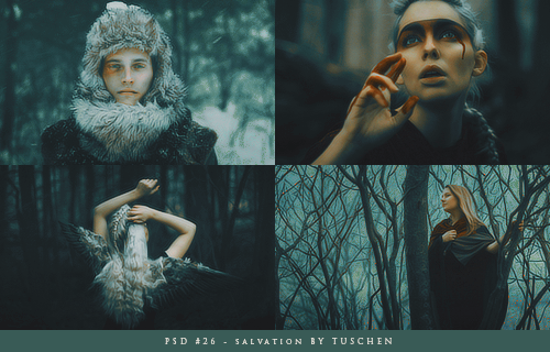 PSD #26 by tuschen on DeviantArt
