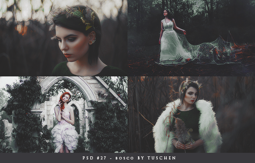 PSD #27 by tuschen on DeviantArt