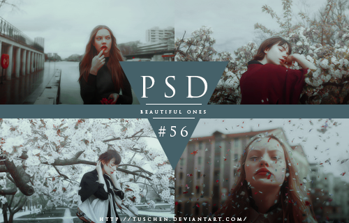 PSD #56 by tuschen