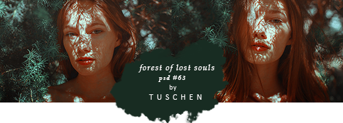 PSD #63 by tuschen on DeviantArt