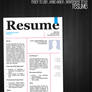 Free Resume Template . Newspaper Style