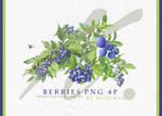 Berries Png