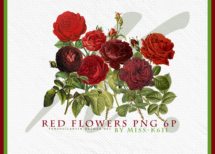 Red Flowers Png