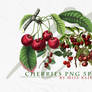 Cherries Png