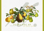 Pears Png