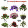 9 Hanging Basket Flowerpot