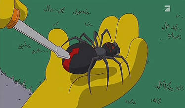Homer quetscht Spinne