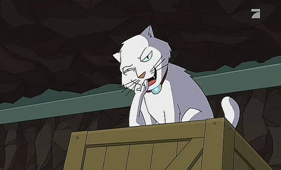 Katze kaut aN Pfote clip