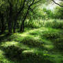 Green forest 1 of 3