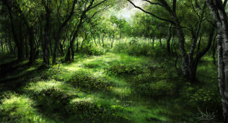 Green forest 1 of 3 by DaveyBaker