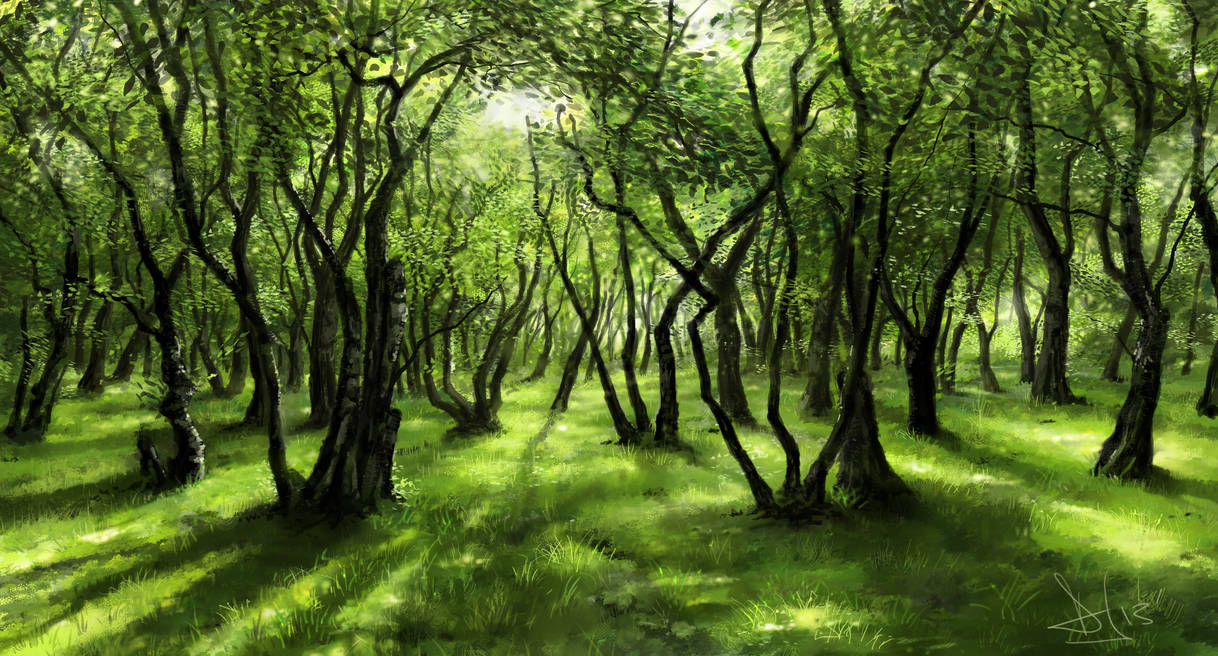 Green forest 2 of 3