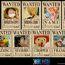 One Piece : Straw Hats Bounty