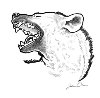 Yawning Hyena by juliolsson