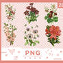 //. Png pack 28 - Flowers