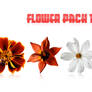 Flower pack 1