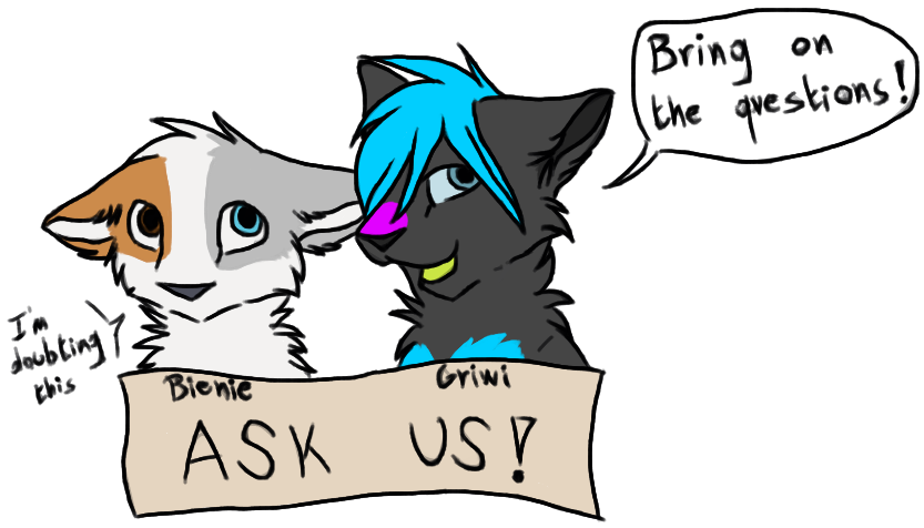 Ask Bienie and Griwi