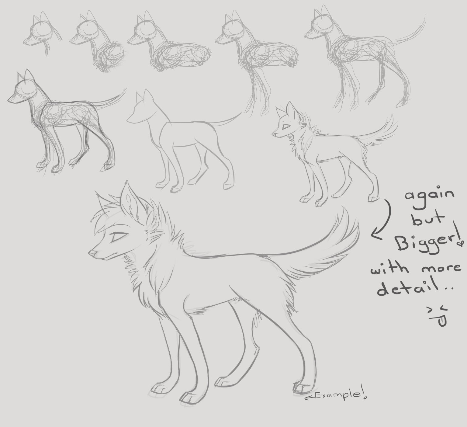 Canid Sketch Practice Tutorial