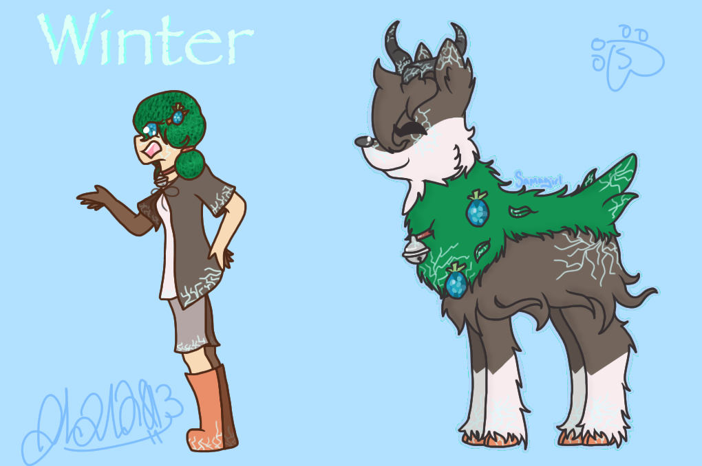 Winter the Skiddo