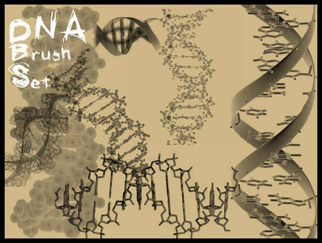 DNA Brushes for PSP 7