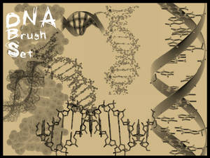 DNA Brushes for PSP 7