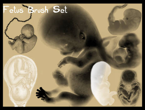 Fetus Brush Set