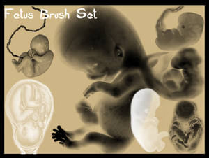 Fetus Brush Set
