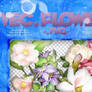 Recursos #4: Vectores Flowers .png