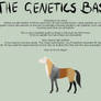 Animated HORSE GENETICS