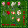 png rose