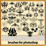 brushes for photoshop