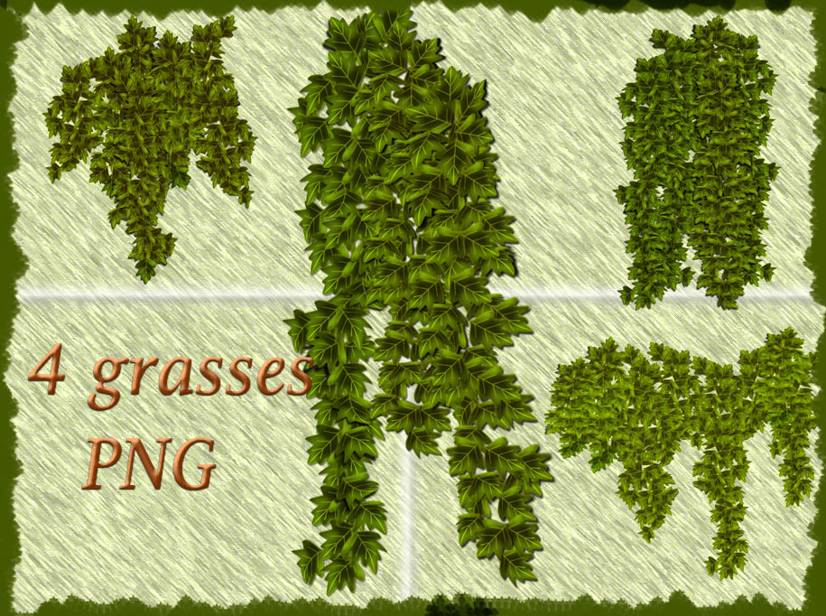 4 grasses PNG by roula33 on DeviantArt