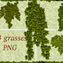 4 grasses PNG