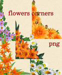 flowers corners