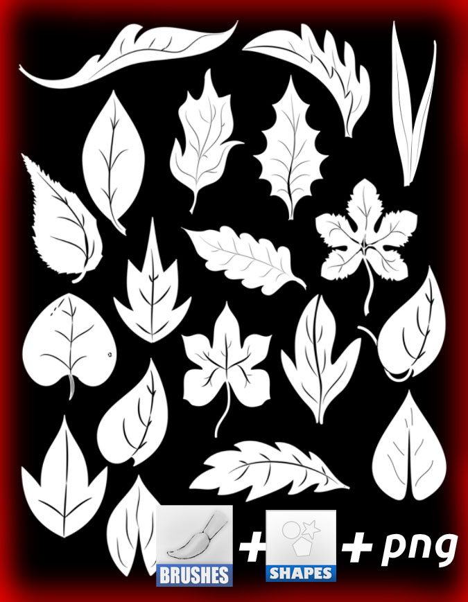leaf by roula33 on DeviantArt
