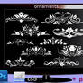 Ornaments Photoshop Cs5