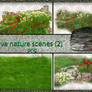 Five nature scenes  grasses(2)