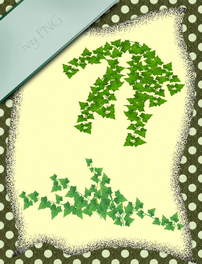 ivy PNG by roula33 on DeviantArt