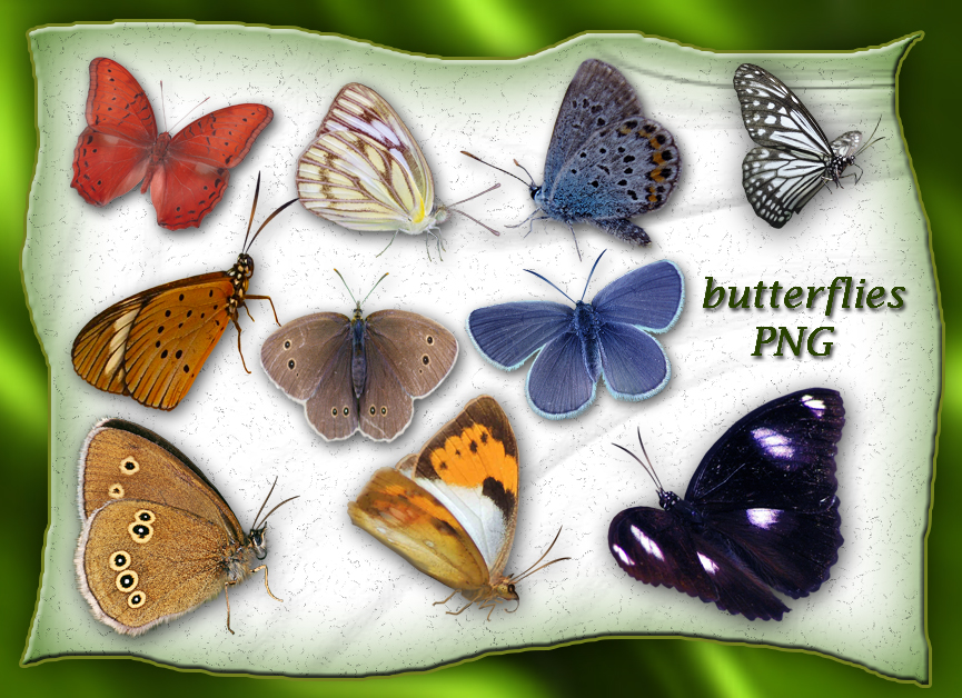 Butterflies by roula33 on DeviantArt