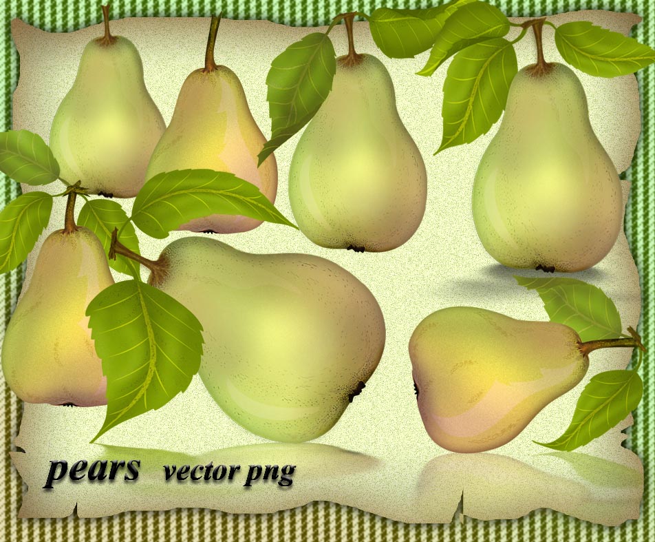 Pears Vector