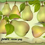 Pears Vector