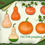 Vector Pumpkin