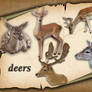 Deers 1
