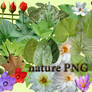 nature PNG
