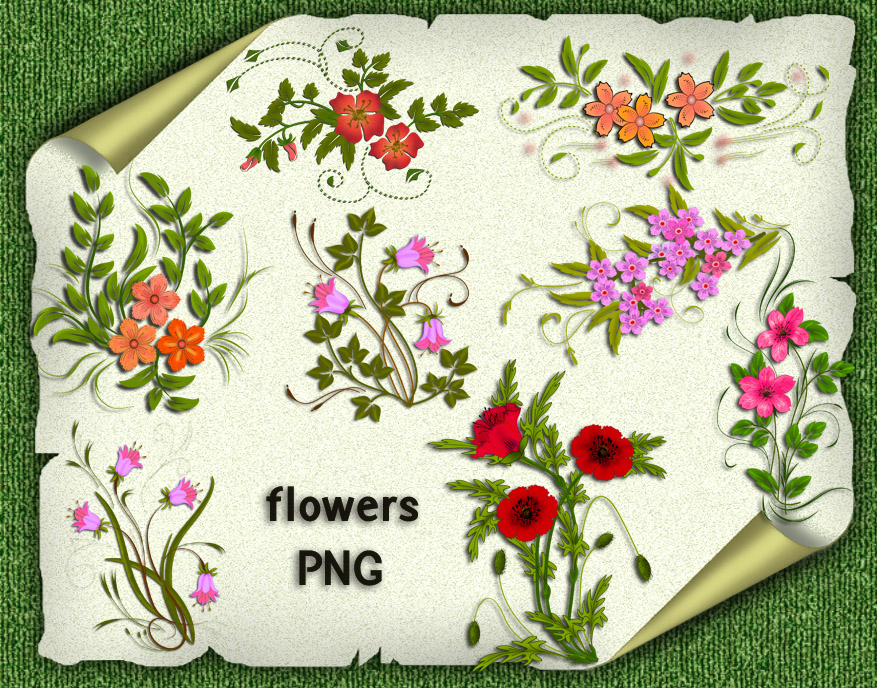 Flowers Png