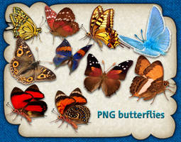 PNG butterflies