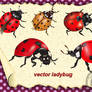 Vector Ladybug