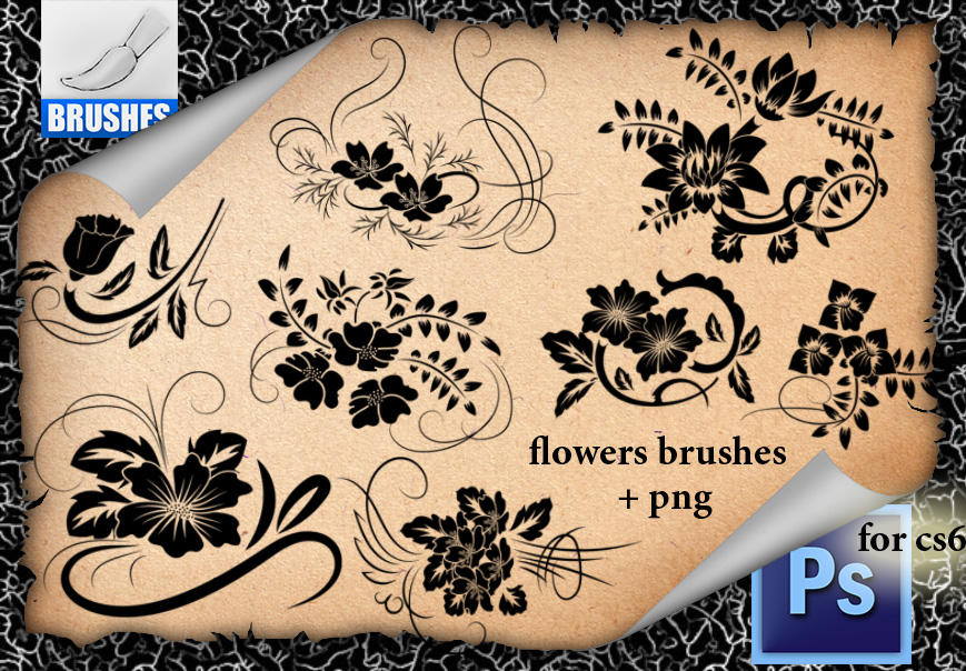 Flowers Brushes R33 by roula33 on DeviantArt