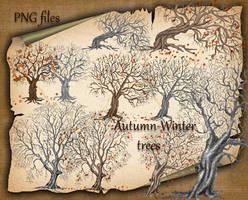 Autumn-Winter trees