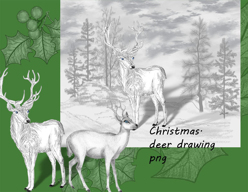 HOW TO DRAW CHRISTMAS REINDEER - YouTube