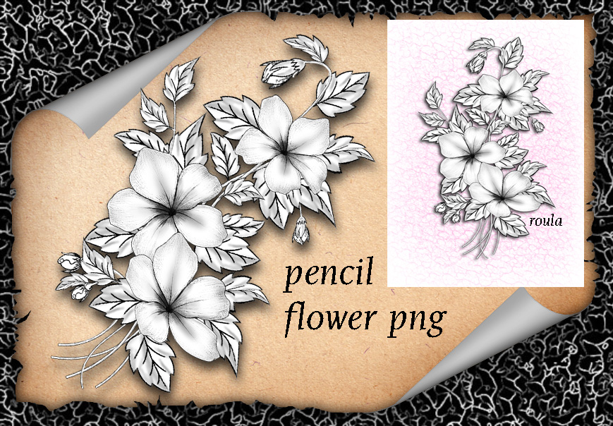 Pencil Flower by roula33 on DeviantArt